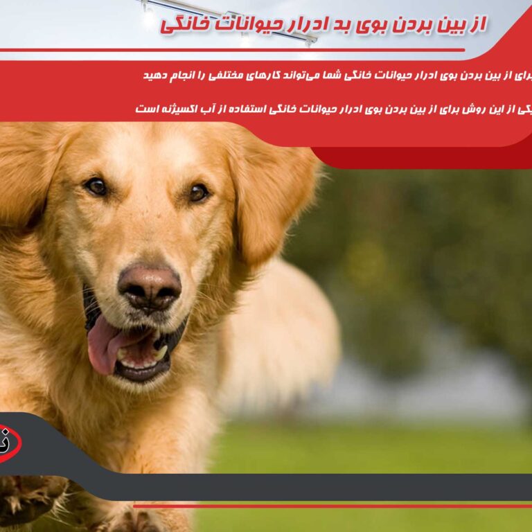 قالیشویی در شمس آباد