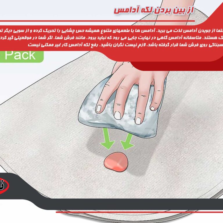 narmak قالیشویی منطقه 13